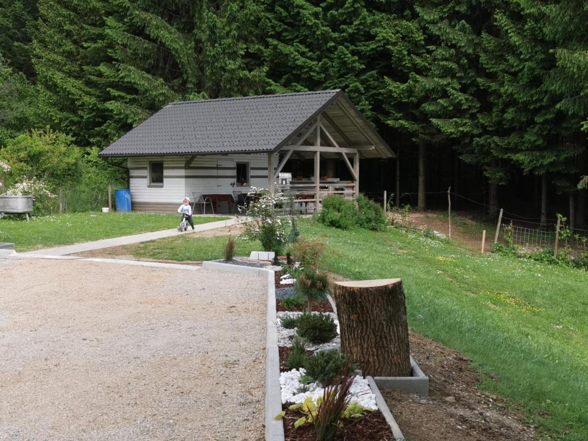 Gostilna S Prenocisci Pav Hotel Rakek Exterior photo